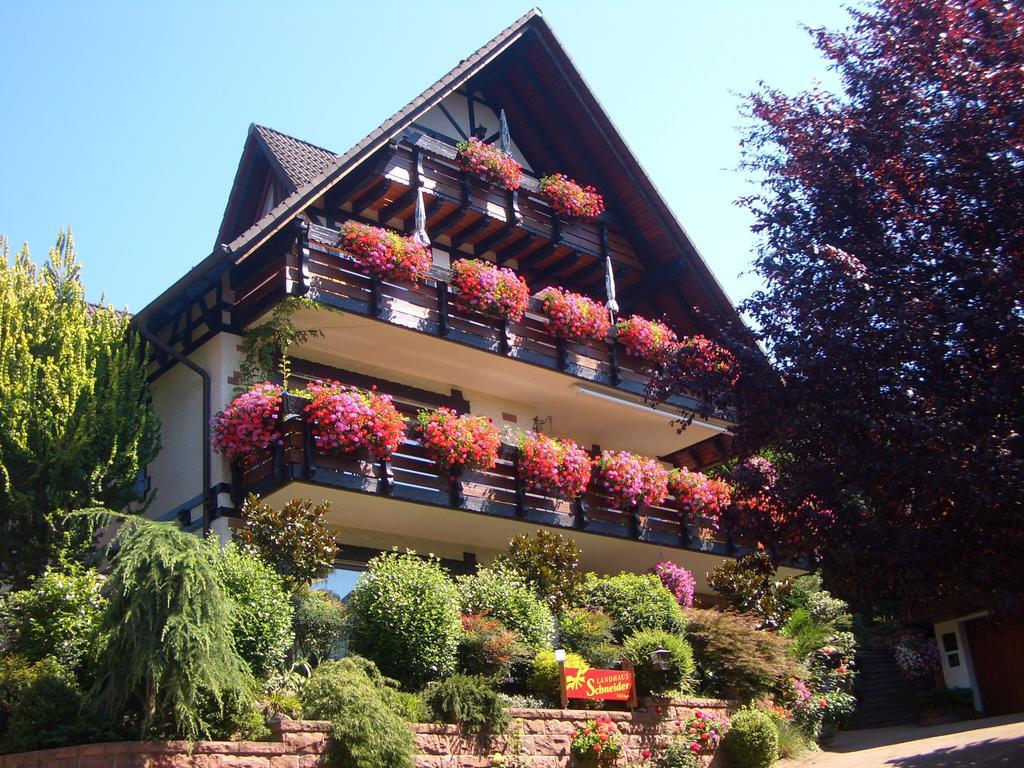 Landhaus Schneider Sasbachwalden Exterior photo