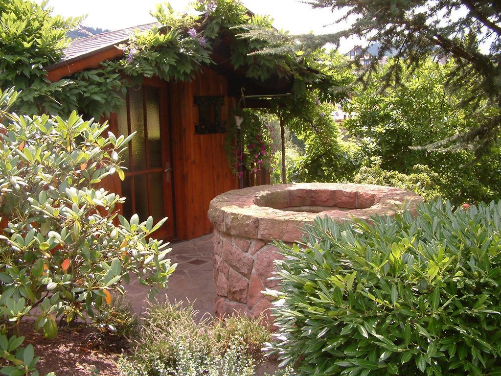 Landhaus Schneider Sasbachwalden Exterior photo